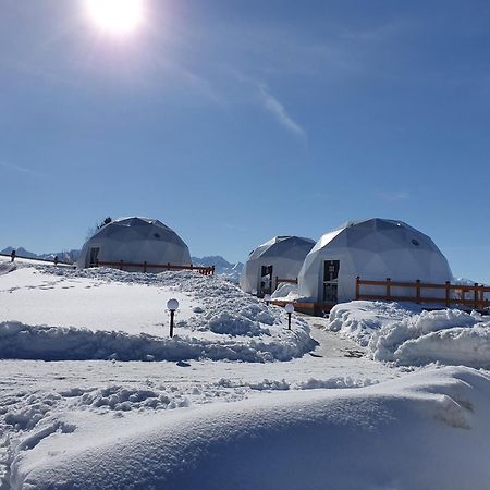 Glamping Pasieka Namiot Glamp Bukowina Tatrzanska - Domki W Gorach Groń Dış mekan fotoğraf