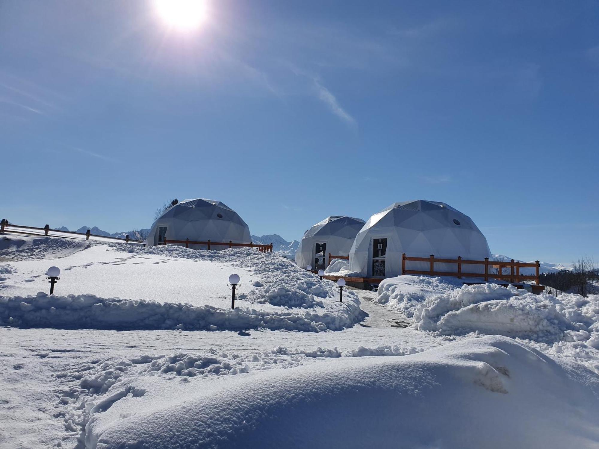 Glamping Pasieka Namiot Glamp Bukowina Tatrzanska - Domki W Gorach Groń Dış mekan fotoğraf