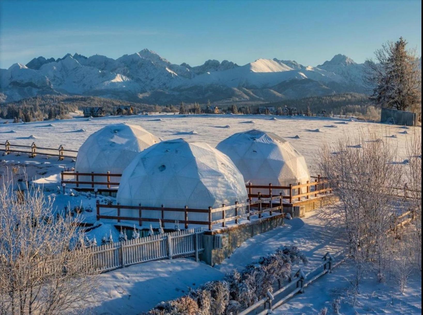 Glamping Pasieka Namiot Glamp Bukowina Tatrzanska - Domki W Gorach Groń Dış mekan fotoğraf